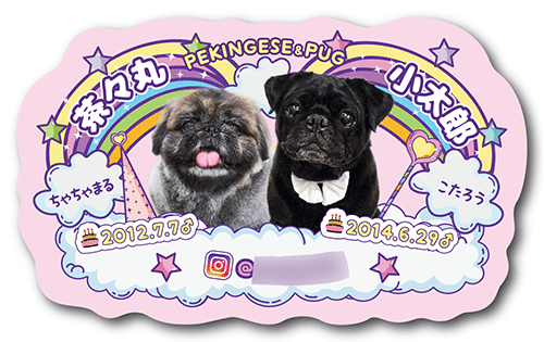 型抜きペット名刺の表面画像