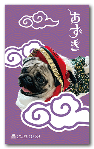 ペット名刺の表面画像