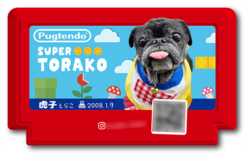 型抜きペット名刺の表面画像