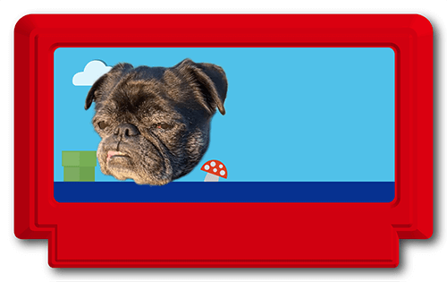 型抜きペット名刺の裏面画像