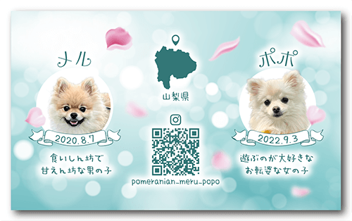 長方形ペット名刺の裏面画像