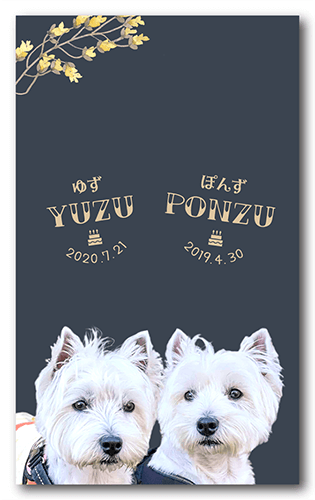 ペット名刺の表面画像