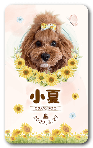 長方形ペット名刺の表面画像