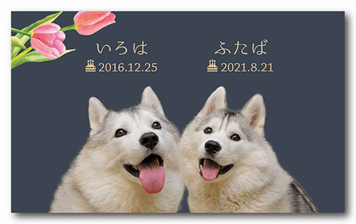 ペット名刺の表面画像