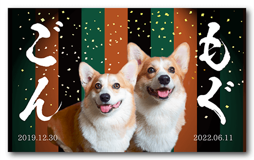 ペット名刺の表面画像