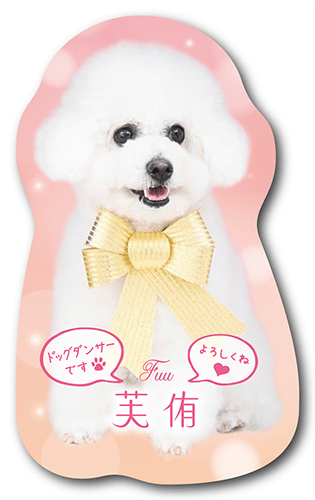 型抜きペット名刺の表面画像
