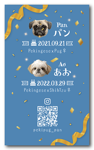 長方形ペット名刺の裏面画像