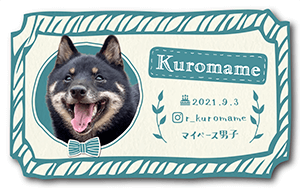 犬のペット名刺