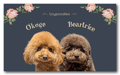 ペット名刺の表面画像