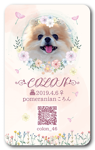 ペット名刺画像