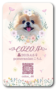 犬のペット名刺