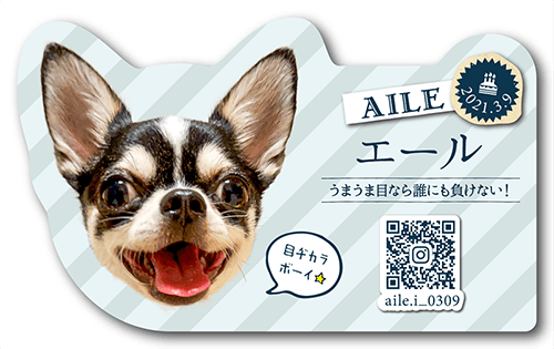 型抜きペット名刺の表面画像
