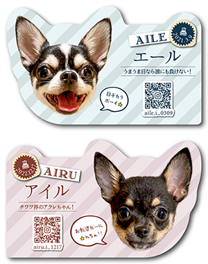 犬のペット名刺