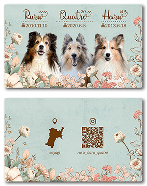 犬のペット名刺