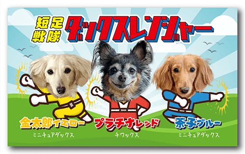 長方形ペット名刺の表面画像