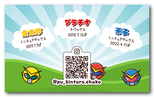 長方形ペット名刺の裏面画像