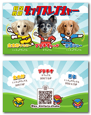 犬のペット名刺