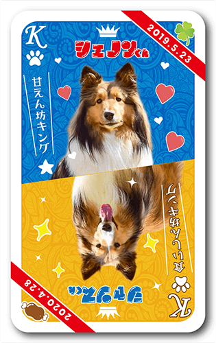 長方形ペット名刺の表面画像