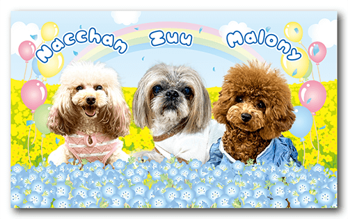 長方形ペット名刺の表面画像