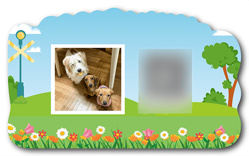 型抜きペット名刺の裏面画像