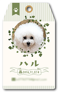 犬のペット名刺