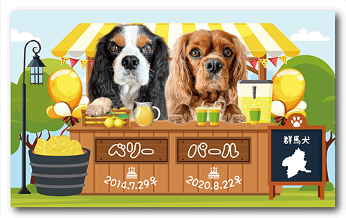 長方形ペット名刺の表面画像