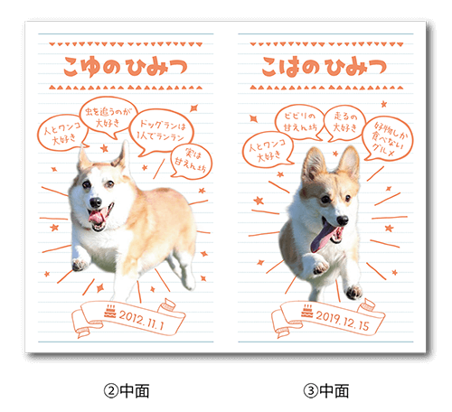 2つ折り型抜きペット名刺の中面画像