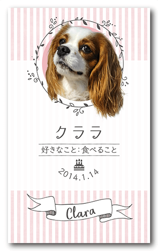 ペット名刺の表面画像