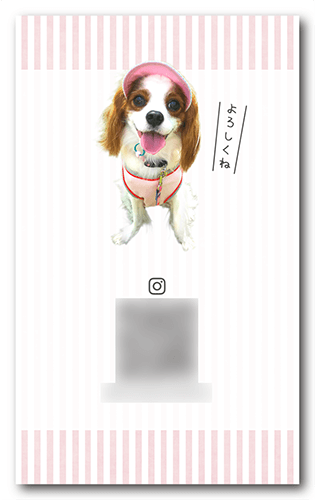 ペット名刺の裏面画像