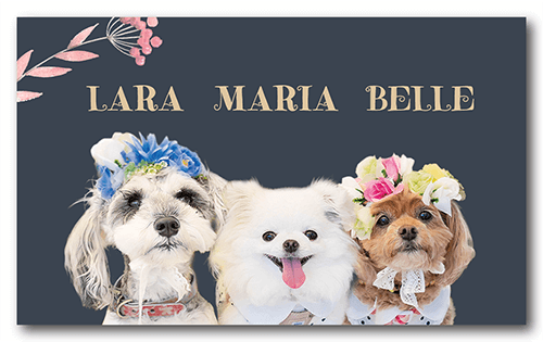 ペット名刺の表面画像