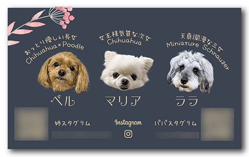 ペット名刺の裏面画像