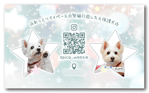 ペット名刺の裏面画像