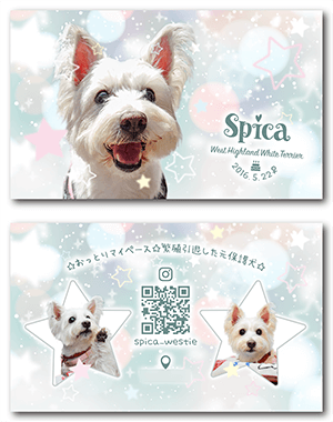 犬のペット名刺