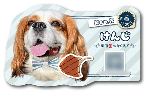 型抜きペット名刺画像