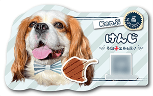 犬のペット名刺