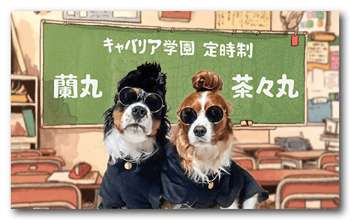 長方形ペット名刺の表面画像