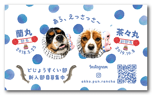 長方形ペット名刺の裏面画像