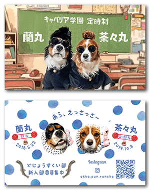 犬のペット名刺