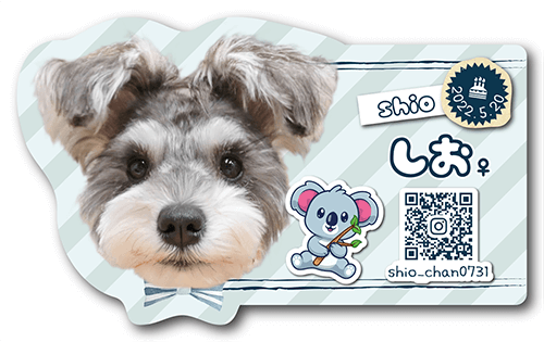 型抜きペット名刺の表面画像