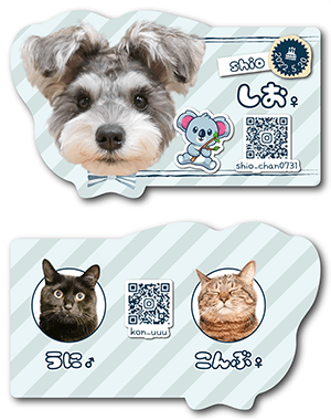 犬のペット名刺