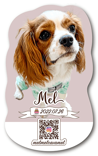 型抜きペット名刺画像