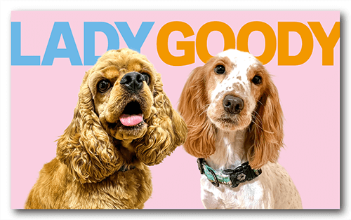 ペット名刺の表面画像