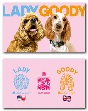 犬のペット名刺