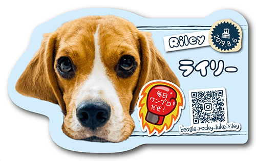 型抜きペット名刺画像