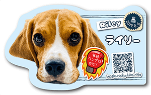 犬のペット名刺