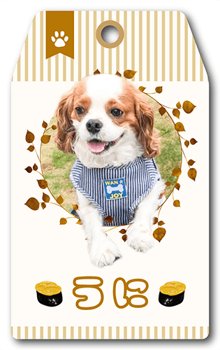 型抜きペット名刺の表面画像