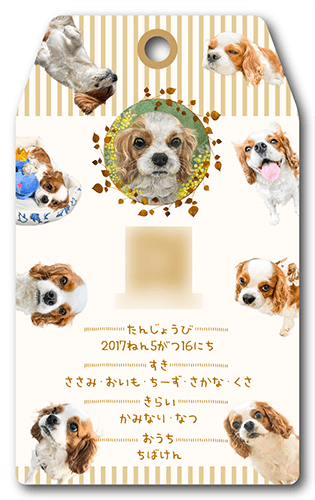 型抜きペット名刺の裏面画像