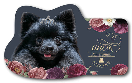 ペット名刺の表面画像