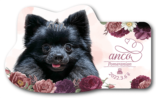 ペット名刺の表面画像