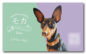 犬のペット名刺